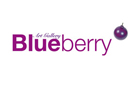 Blueberry Gallery, Patrickswell, Limerick